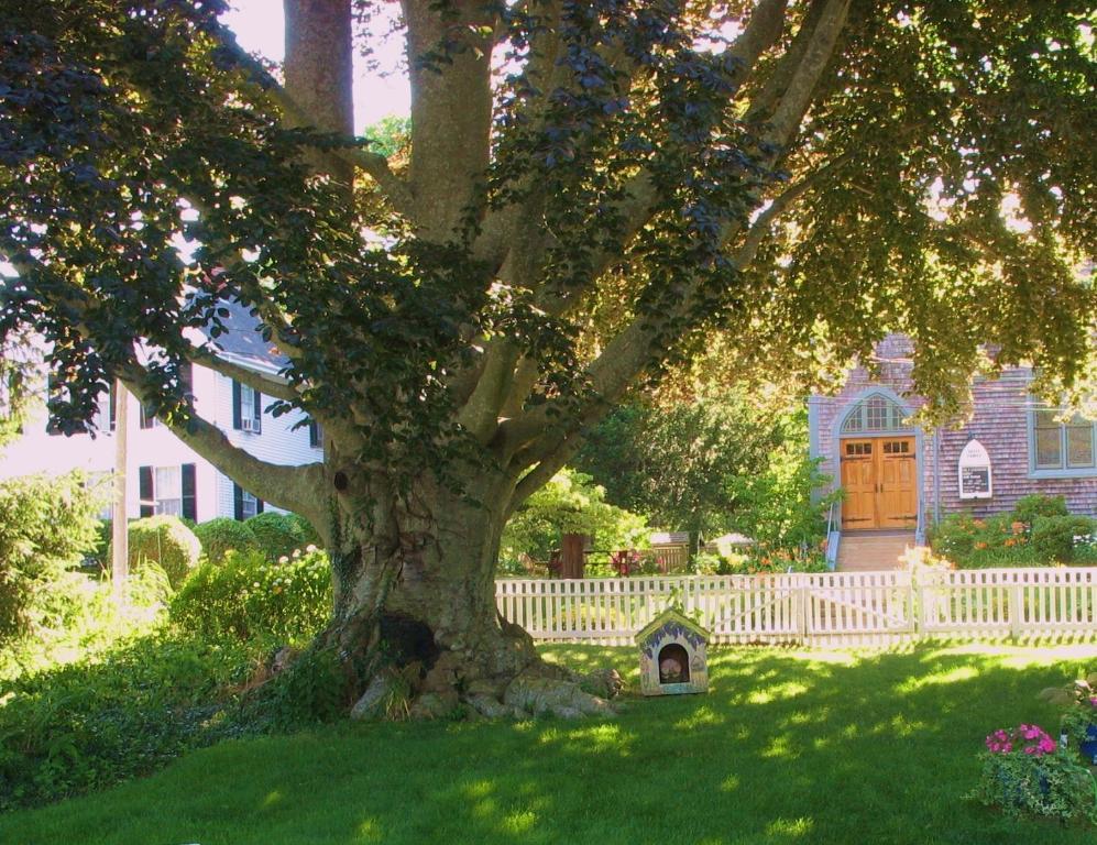 바인야드 헤이븐 The 1720 House B&B 외부 사진